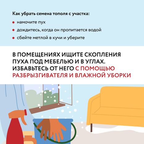 Тополиный пух