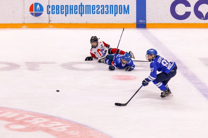 Хоккейный турнир на кубок Олимпийского чемпиона Ю.Е. Ляпкина в Балашихе