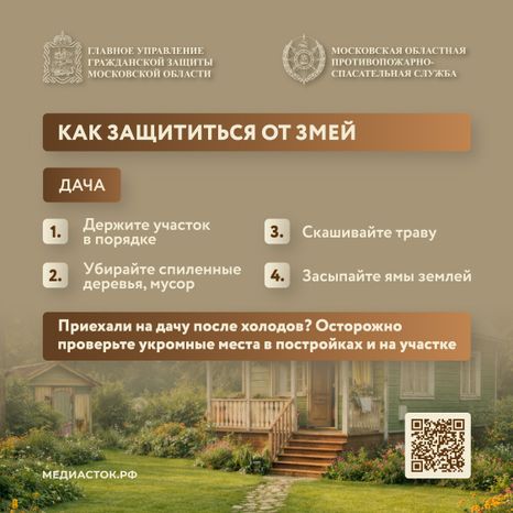 Гадюки квадрат 04