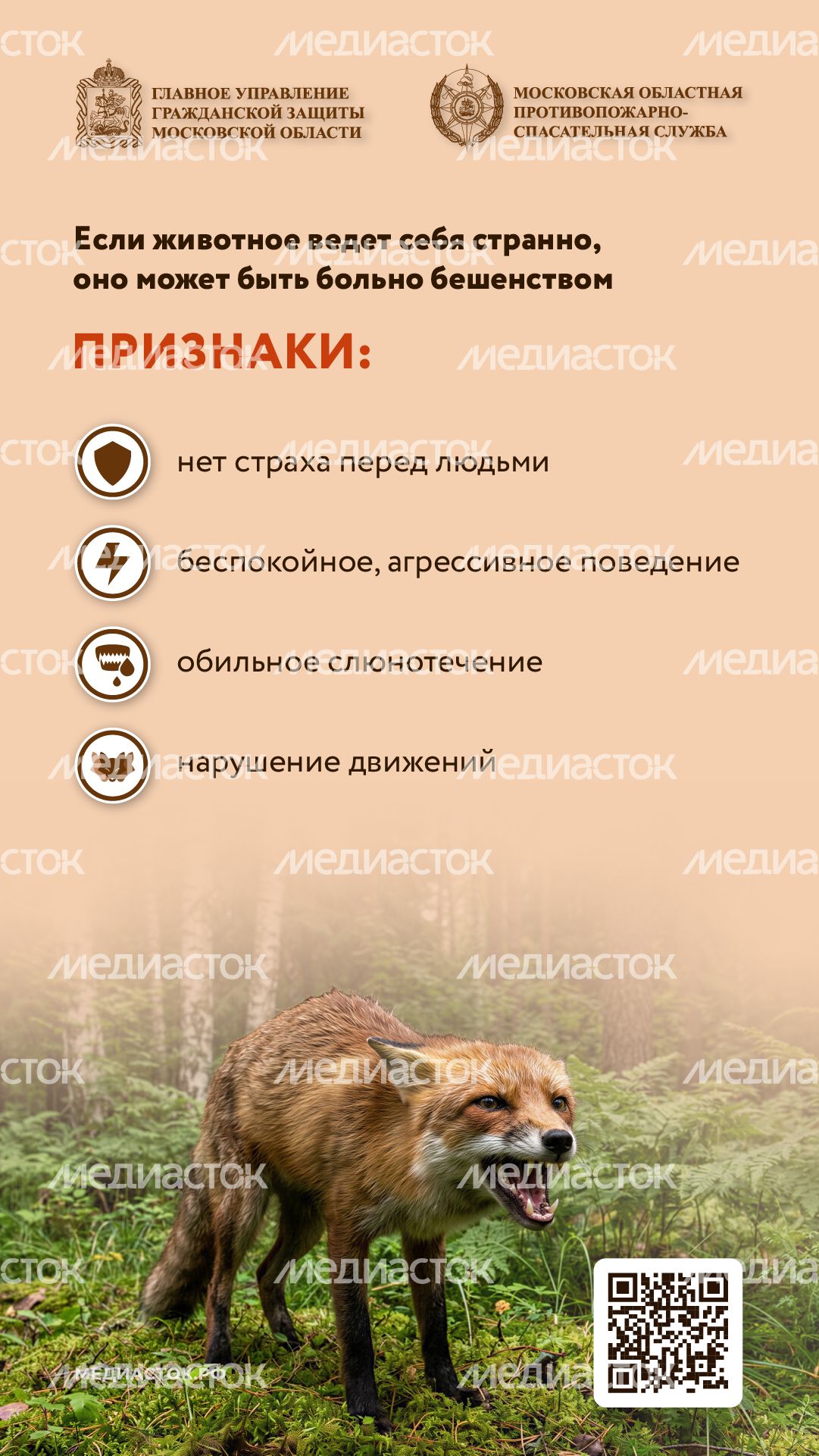 Что делать при встрече с диким животным вертикаль 05 Что делать при встрече с диким животным вертикаль 05