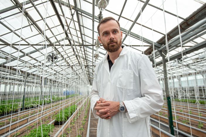Теплицы крупного семеноводческого агропромышленного комплекса ООО «Агрофирма Партнер»