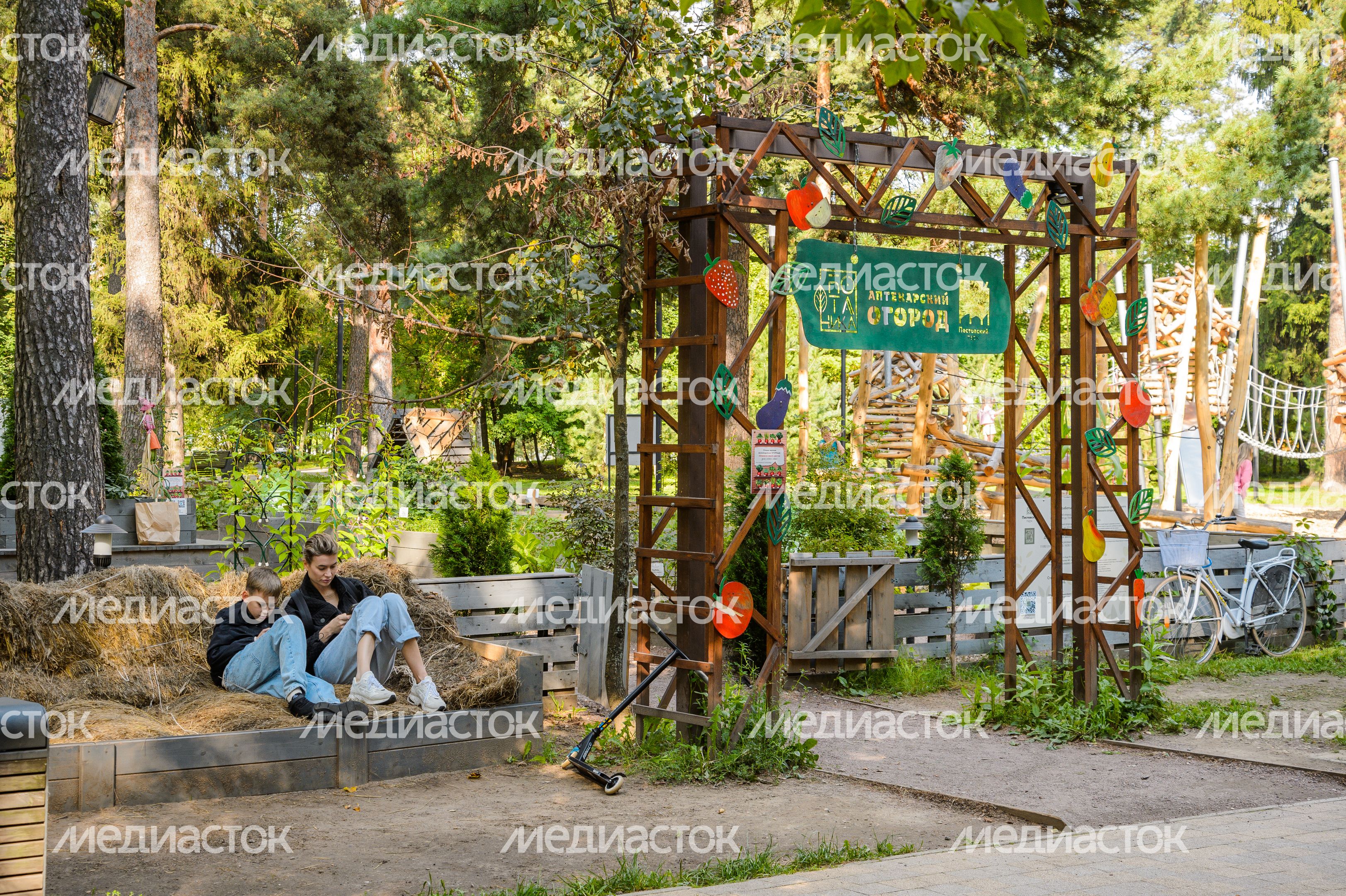 Балашиха. Пестовский парк Балашиха. Пестовский парк