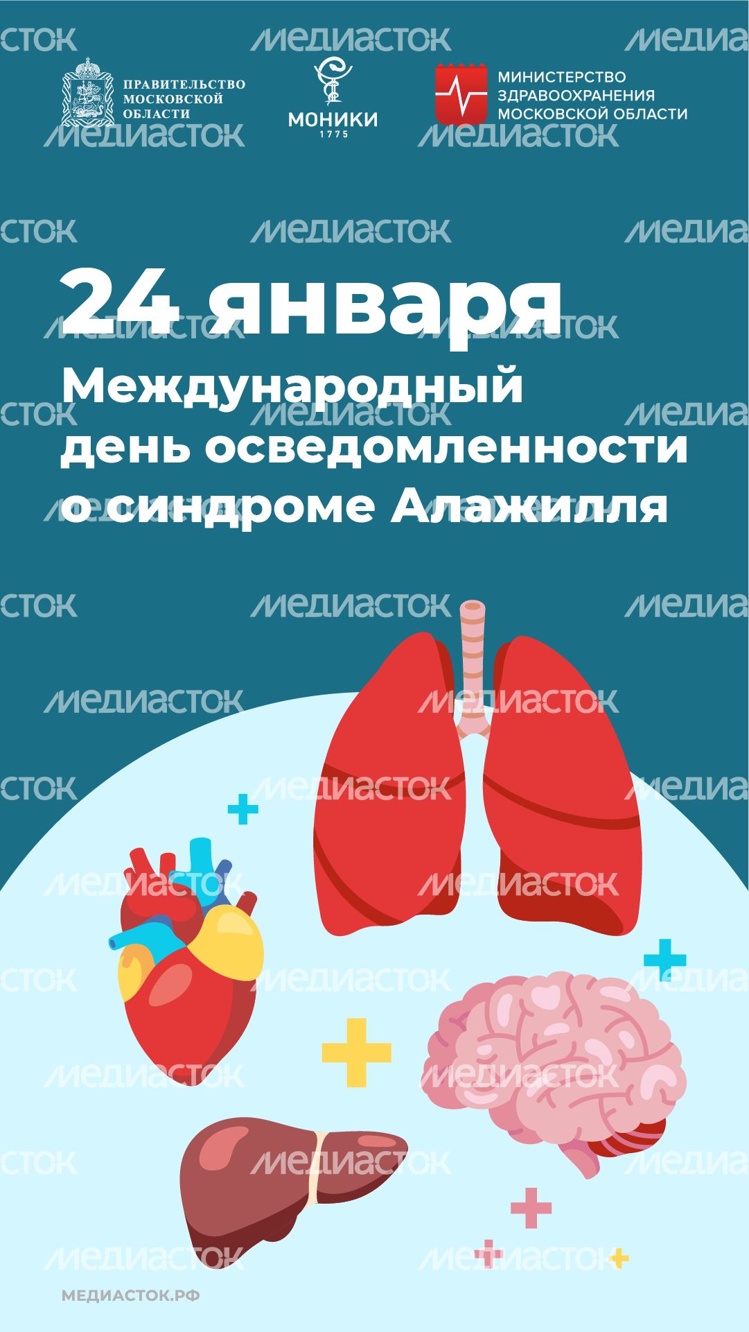 24 января вертикаль 24 января вертикаль