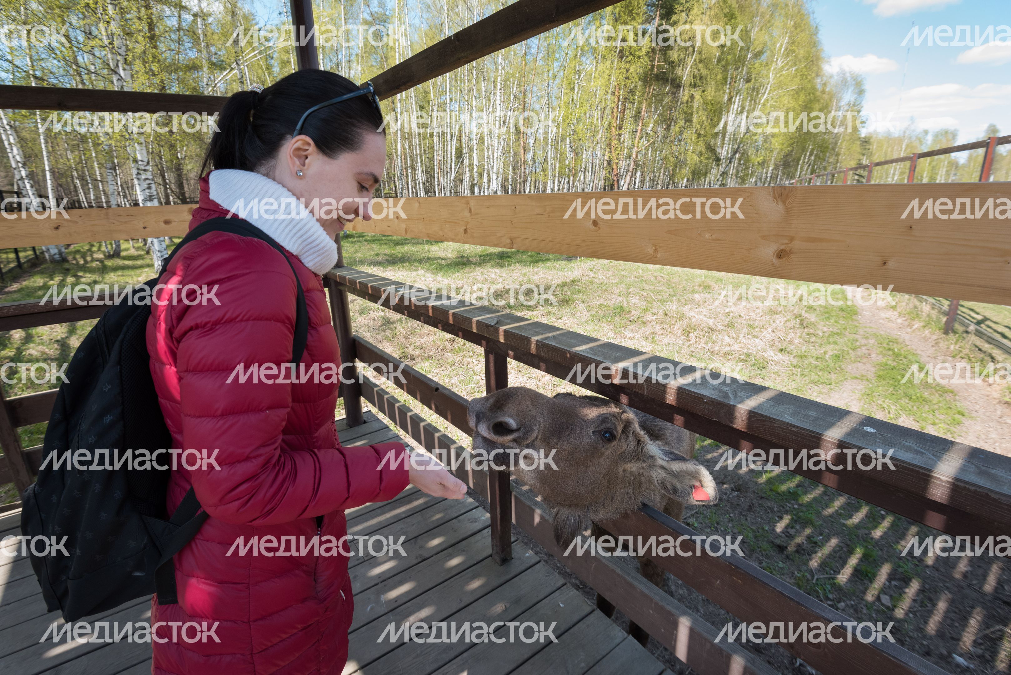 Национальный парк Лосиный остров
