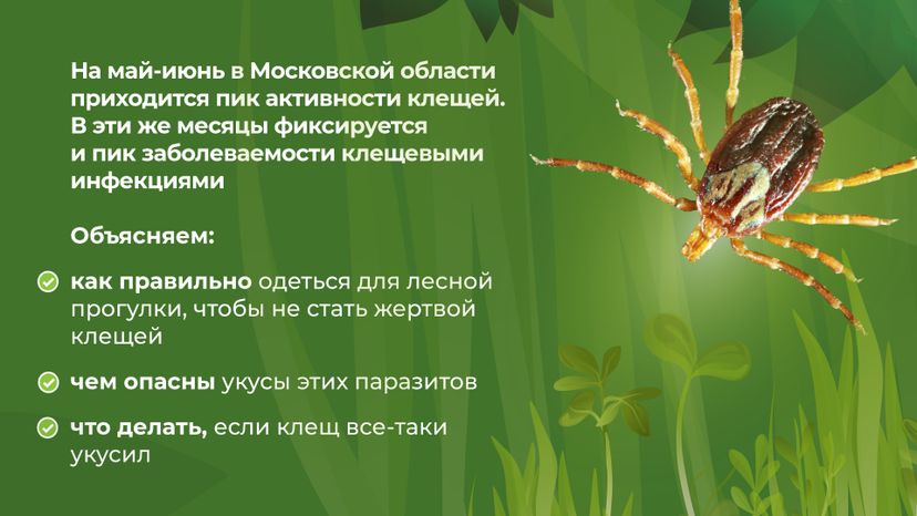 комлесхоз_клещи_гор_2