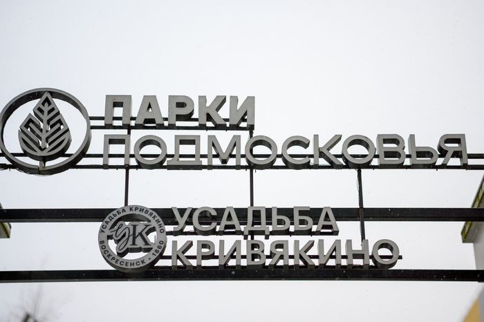 Зима в парке усадьбы Кривякино в Воскресенске