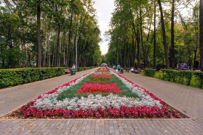 Центральный городской парк им. М.И. Калинина в Королеве летом