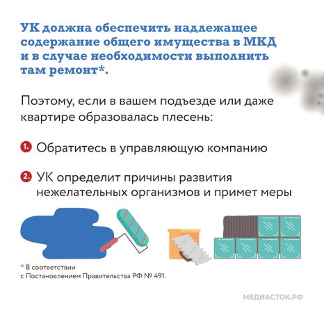 Плесень квадрат 02