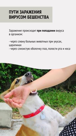 Вакцинация