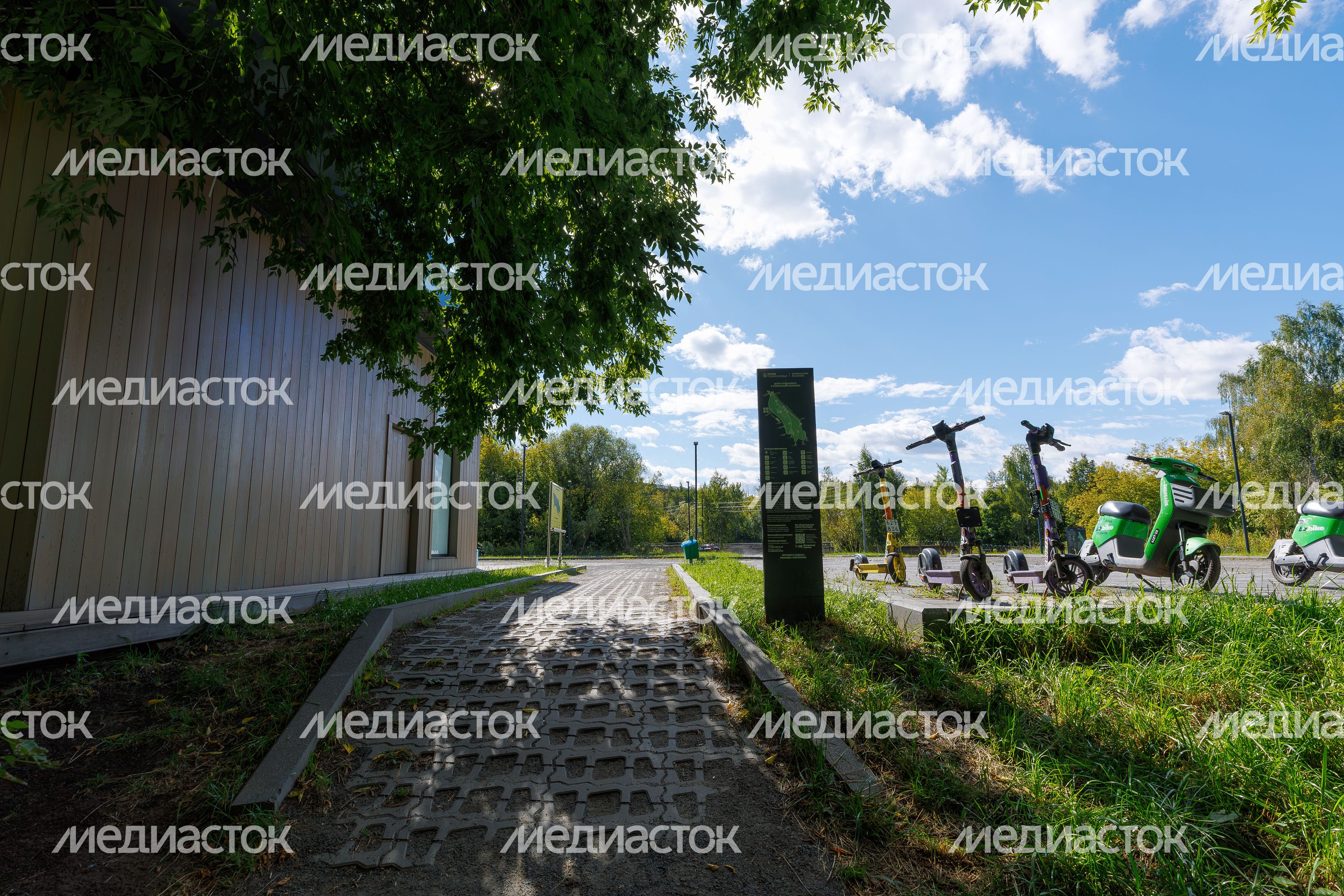 Химкинский лесопарк летом Химкинский лесопарк летом