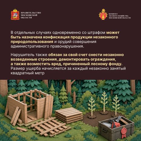 Самовольный захват и использование лесных участков квадрат 05