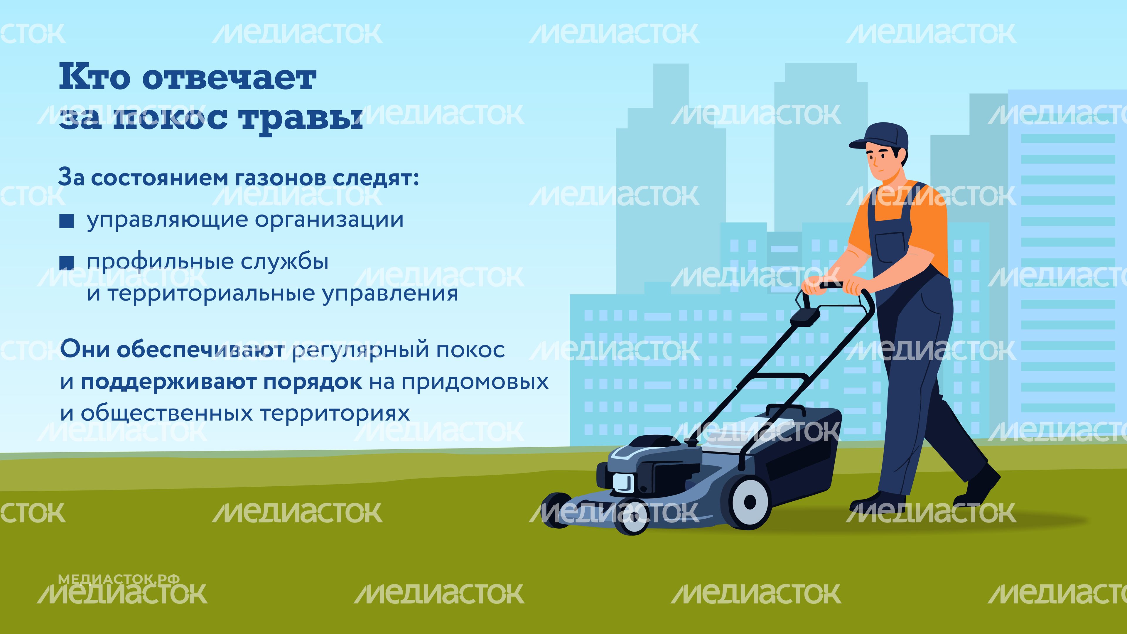 Как ухаживают за газонами горизонталь 02 Как ухаживают за газонами горизонталь 02