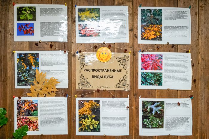 Музей-усадьба «Дары дуба» в Одинцовском округе