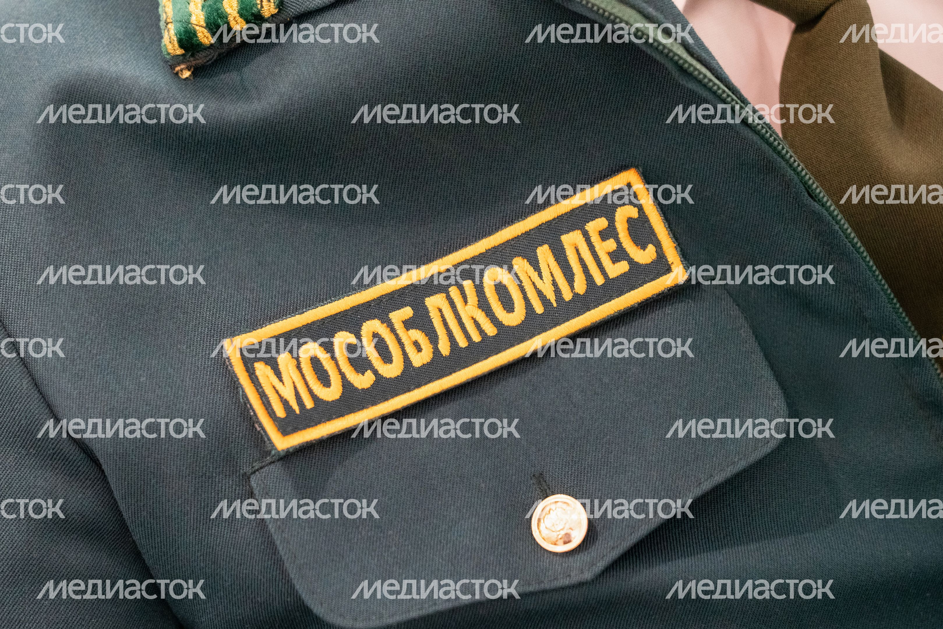 Комитет лесного хозяйства Московской области отметил 12-летие