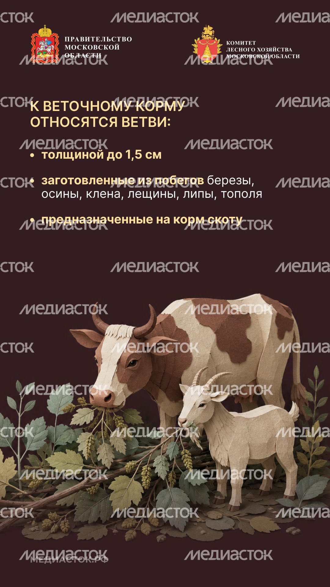 Недревесные ресурсы для собственных нужд Вертикаль 08