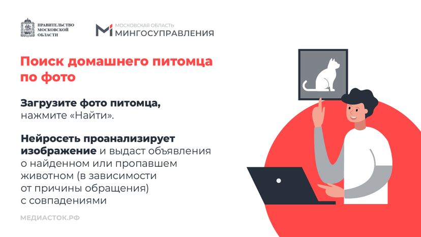 Домашние животные горизонталь 04