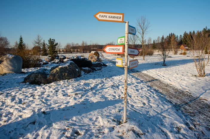 Зимний Парк Птиц «Воробьи»