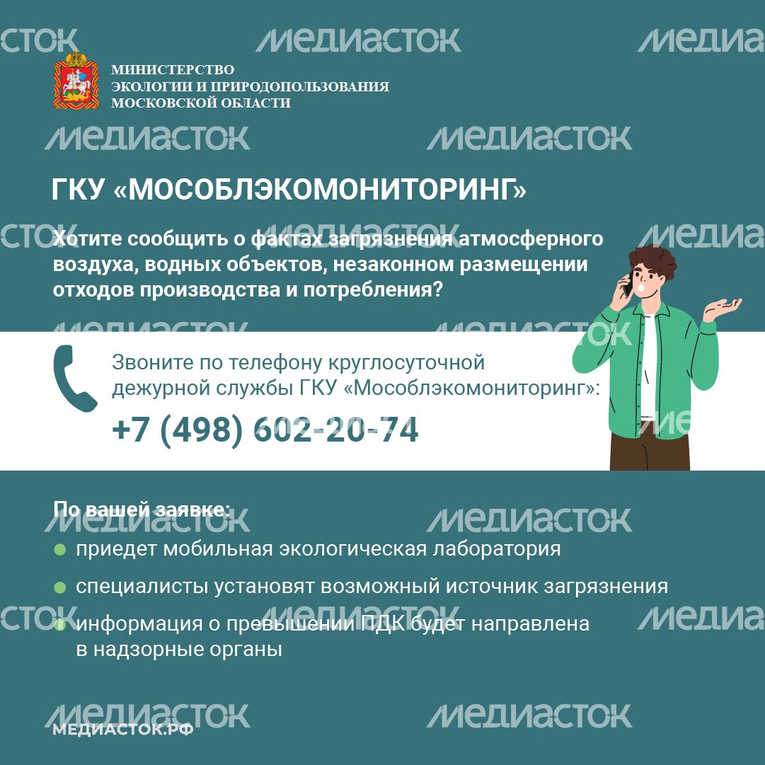 Информационные карточки квадрат 02 Информационные карточки квадрат 02