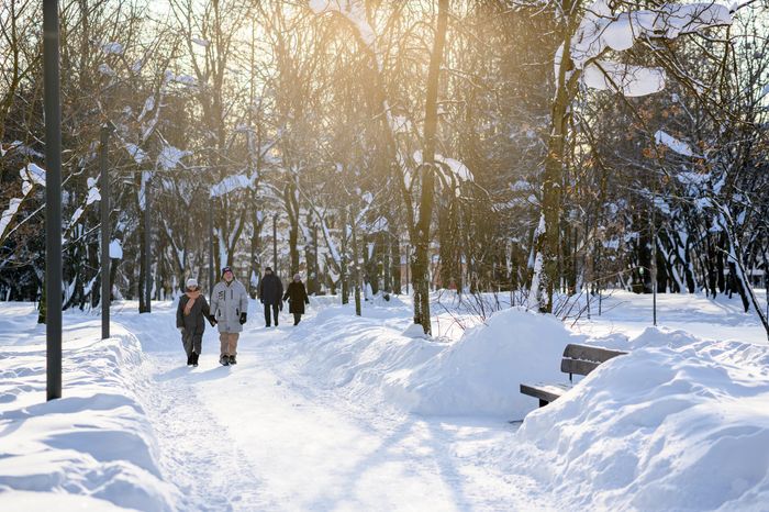 Прогулка в Наташинском парке зимой в Люберцах