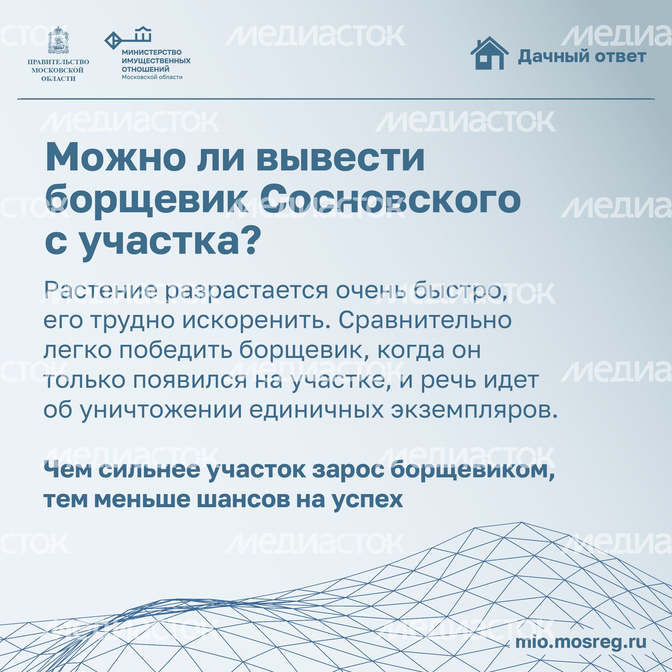 Дачный ответ_борщевик-16.jpg
