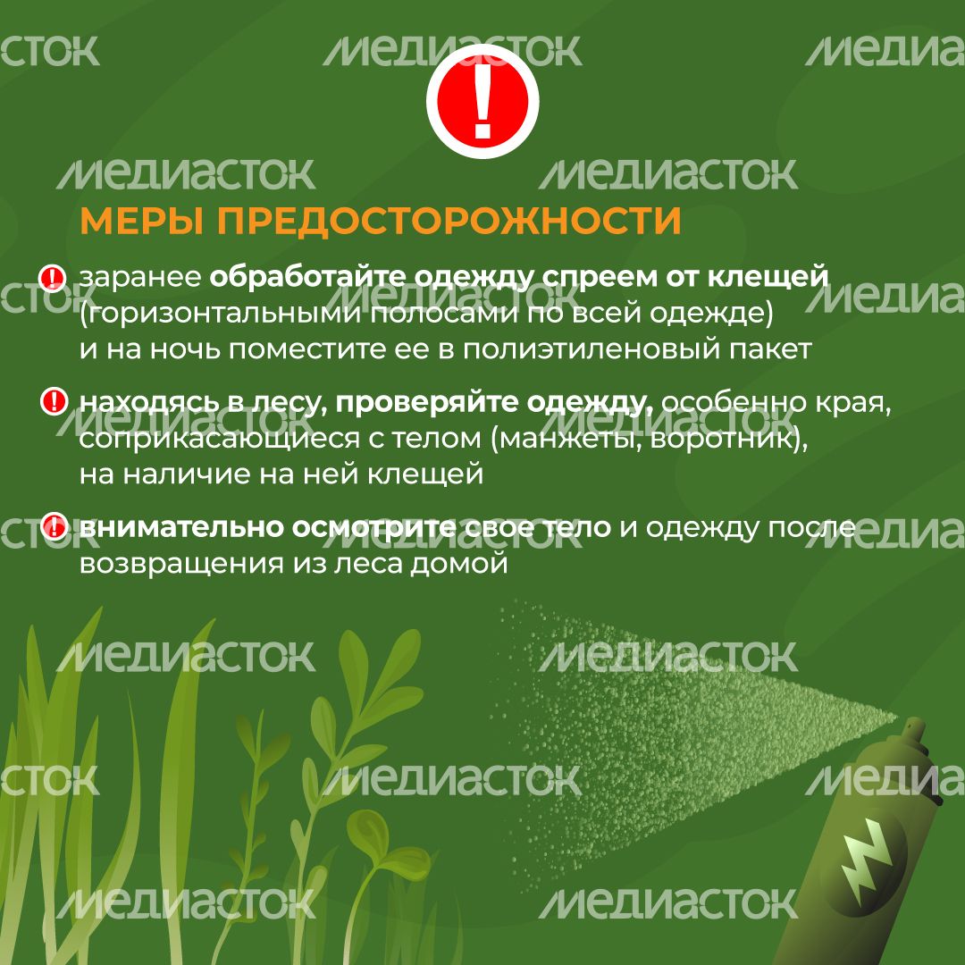 комлесхоз_клещи_кв_5
