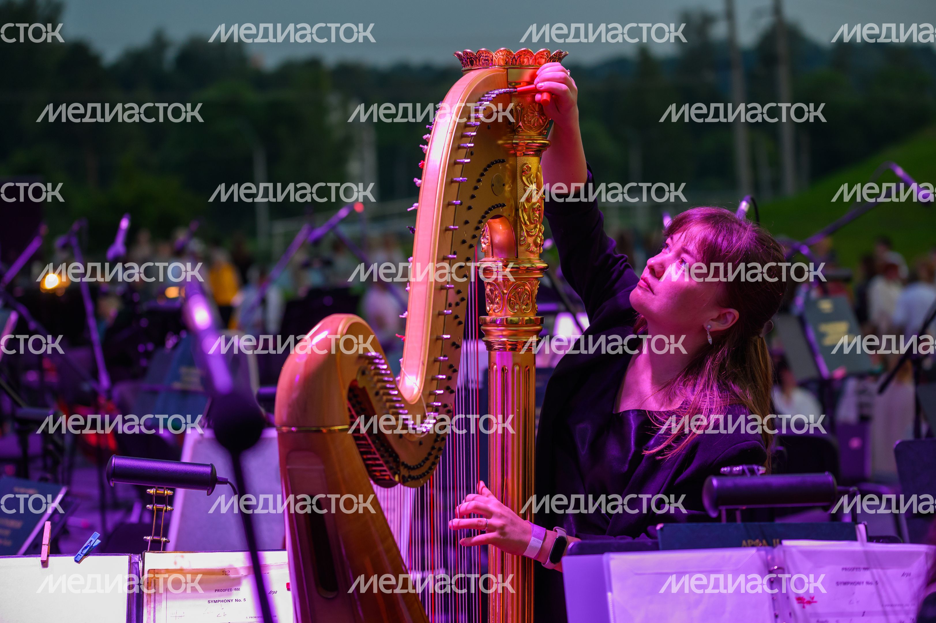 Открытие VIII Фестиваля классической музыки «Лето. Музыка. Музей» в Истре Открытие VIII Фестиваля классической музыки «Лето. Музыка. Музей» в Истре