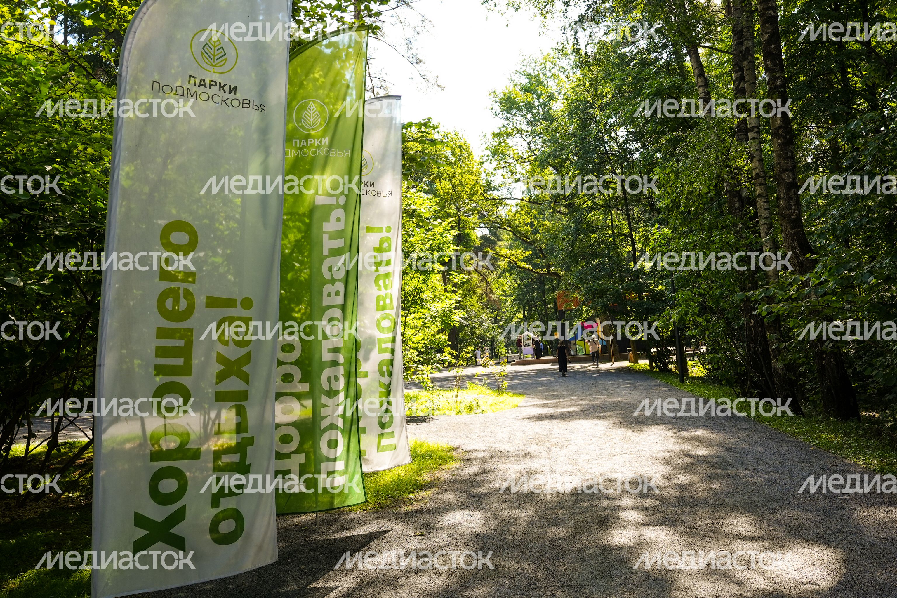 Лесопарк "Чемпион" в Дзержинском