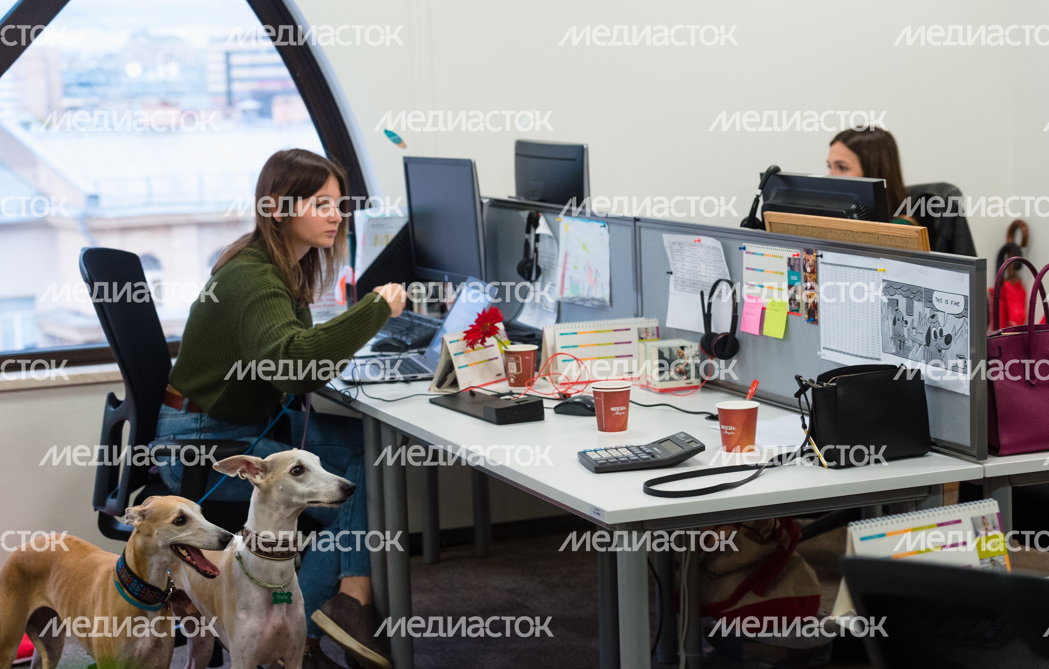Pet‑friendly офис Purina