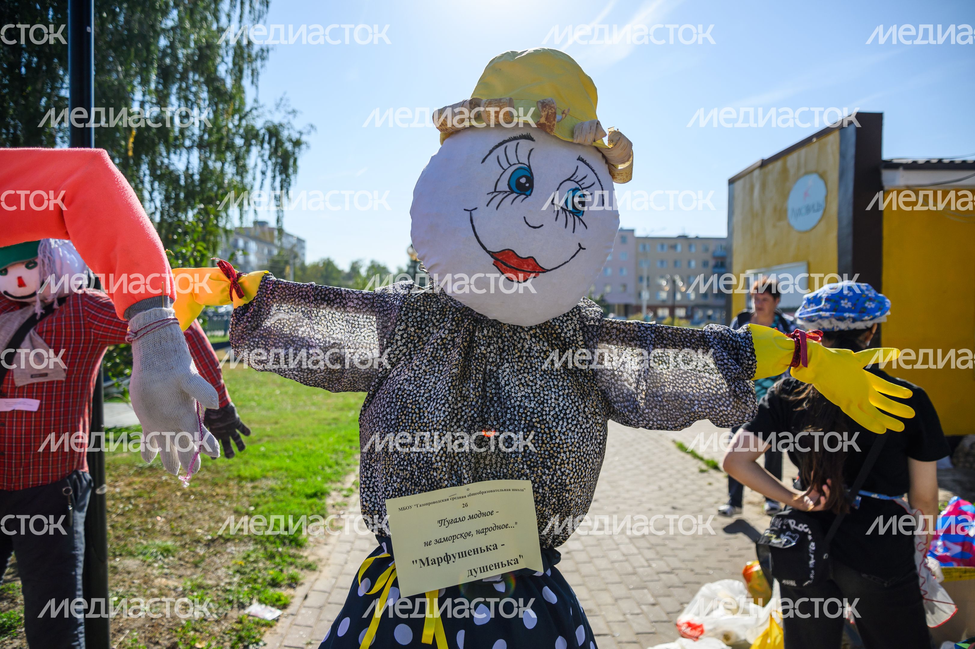 Выставка-ярмарка «Дары Подмосковья» в Луховицах Выставка-ярмарка «Дары Подмосковья» в Луховицах