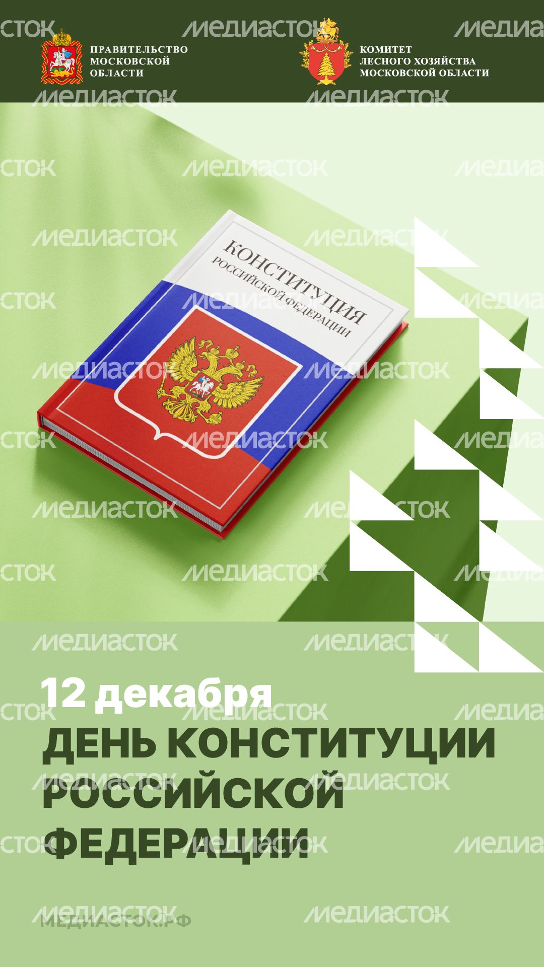 12 декабря вертикаль 01 12 декабря вертикаль 01