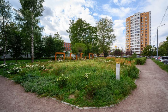 Благоустройство сквера на улице Парковой в Реутове