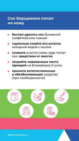 Вертикаль_Борщевик Сосновского_06.png