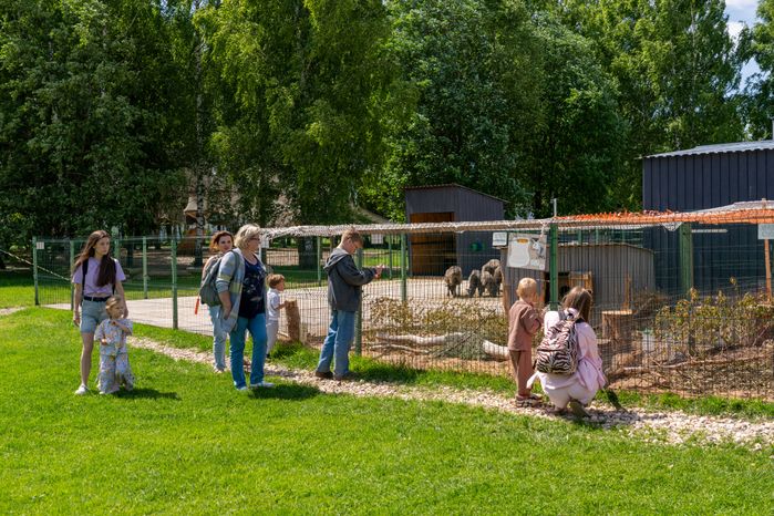 Семейная ферма «Цыпарк» - место для отдыха с детьми на природе