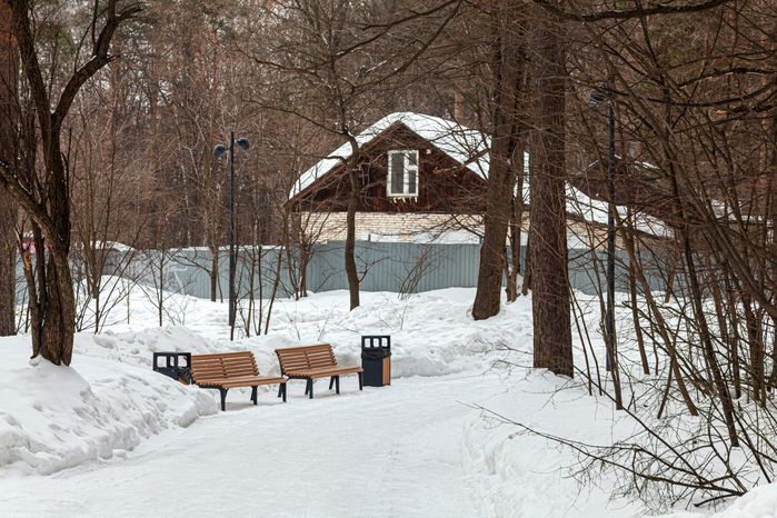 Томилинский лесопарк зимой в городе Дзержинский округа Люберцы