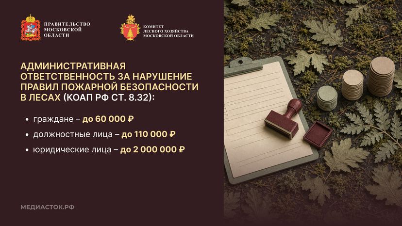 Живете рядом с лесом горизонталь 05