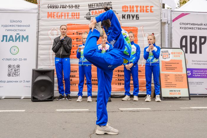 Видное. День города
