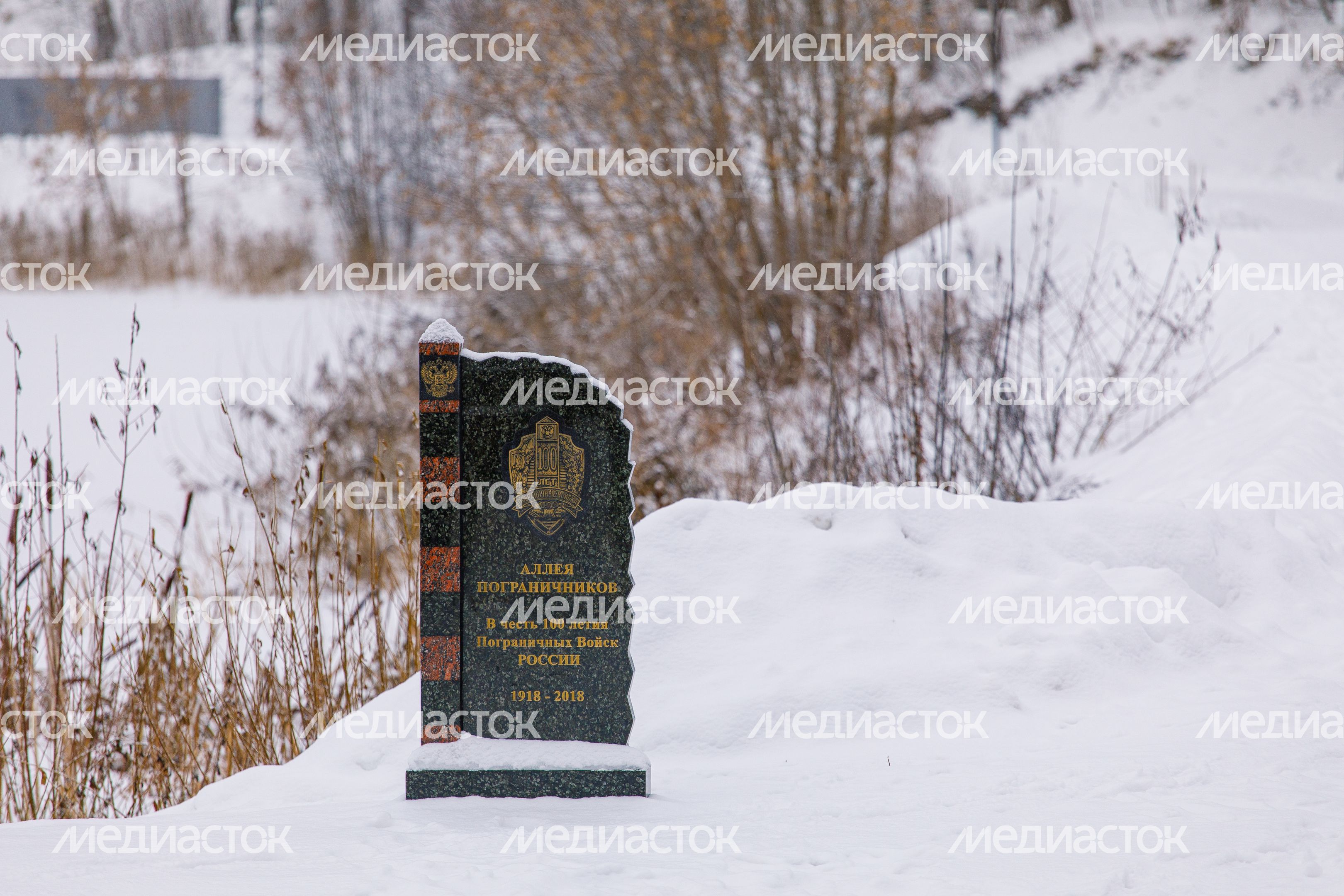 Клин. Парк культуры и отдыха «Сестрорецкий». Зима Клин. Парк культуры и отдыха «Сестрорецкий». Зима