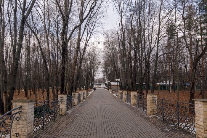 Парк имени Л.Н. Толстого зимой