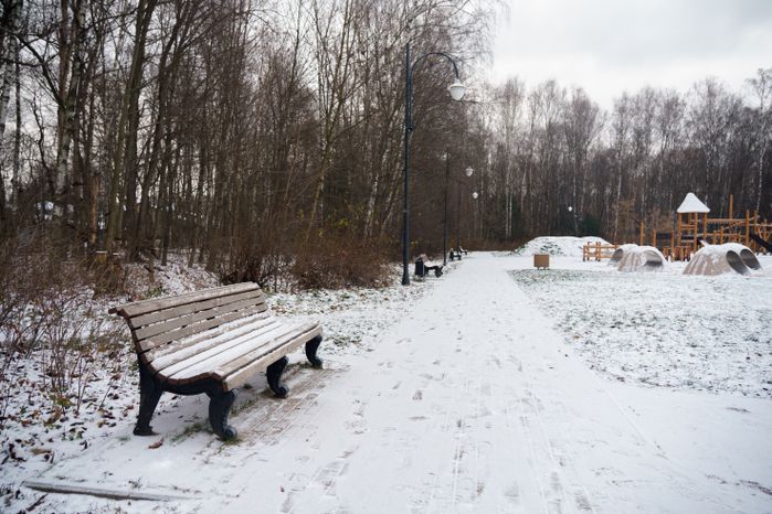 Люберцы. Томилинский лесопарк. Зима