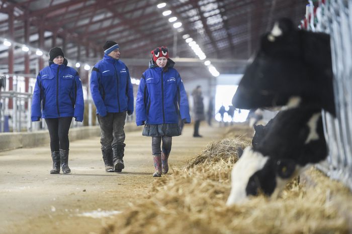 Открытие нового молочного комплекса TH True Milk в Подмосковье, 2 часть