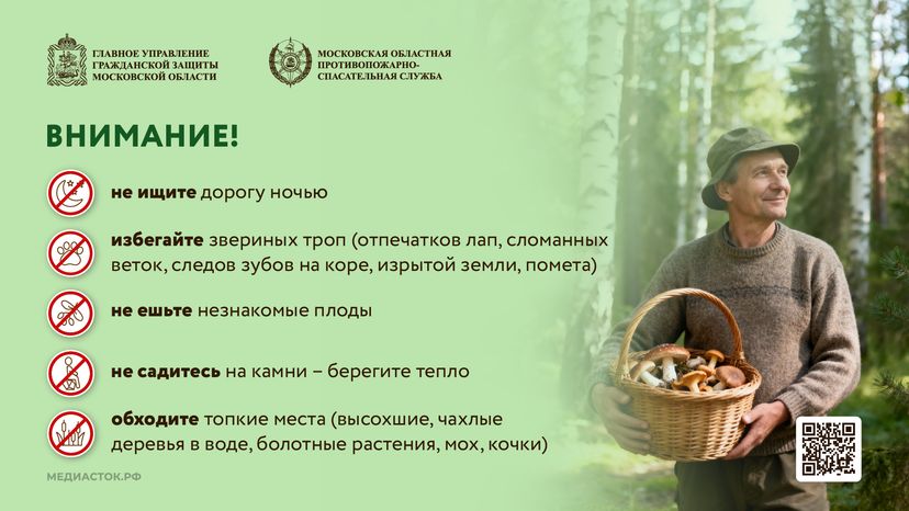 Как подготовиться к походу в лес горизонталь 09