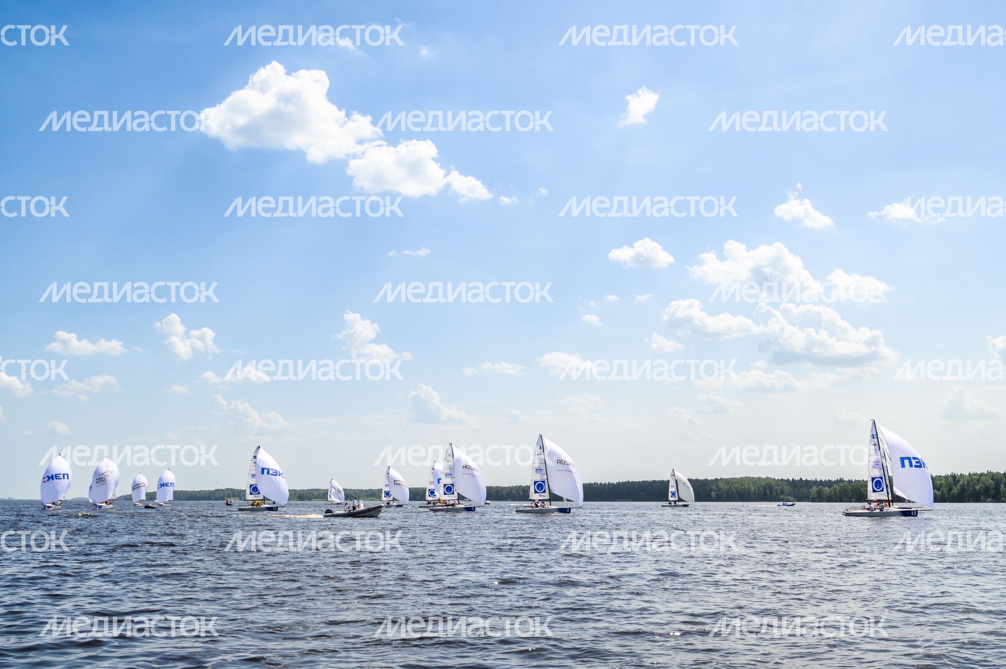 Регата на Пестовском водохранилище в Мытищах