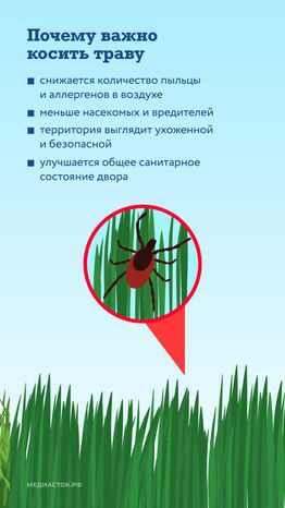 Как ухаживают за газонами вертикаль 05