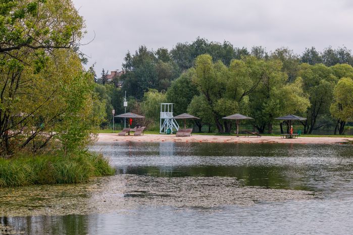 Парк "Фабричный пруд" в Реутове. Лето