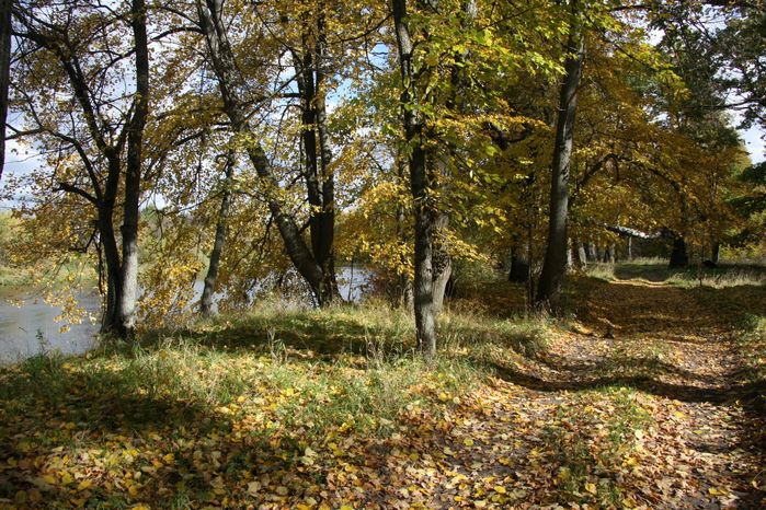 Осень в Подмосковье