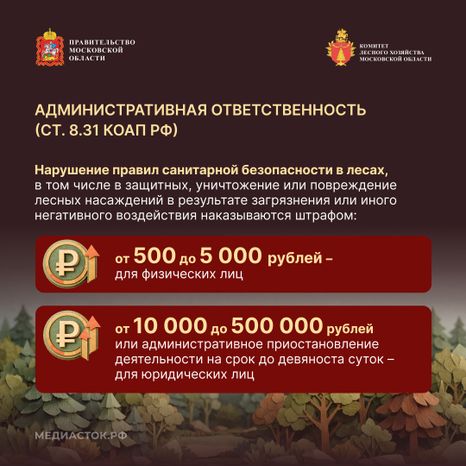 Санитарная безопасность в лесах квадрат 04