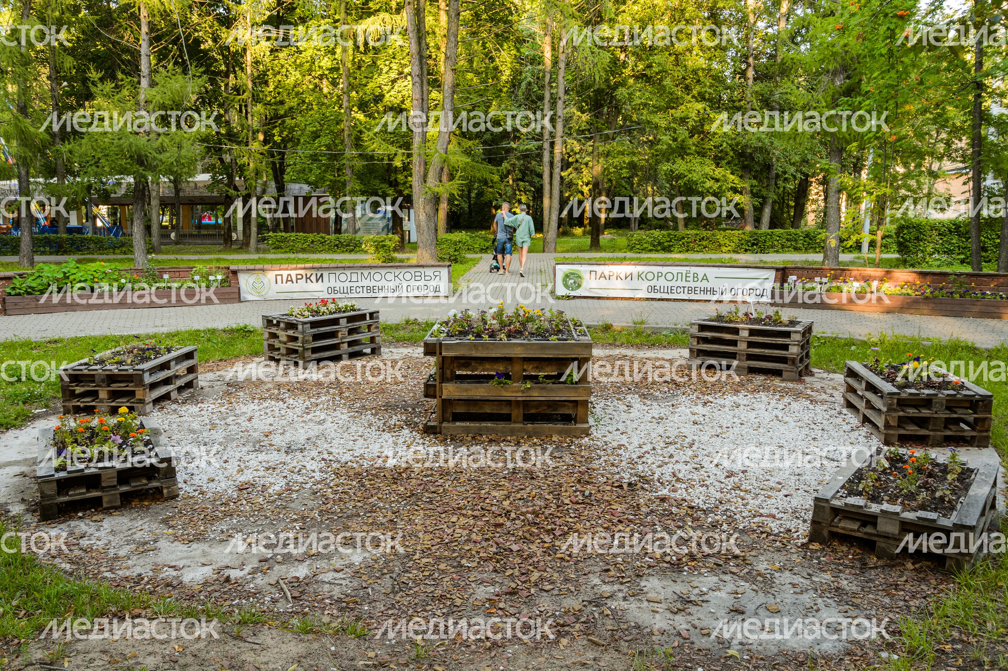 Королев. Центральный городской парк Королев. Центральный городской парк