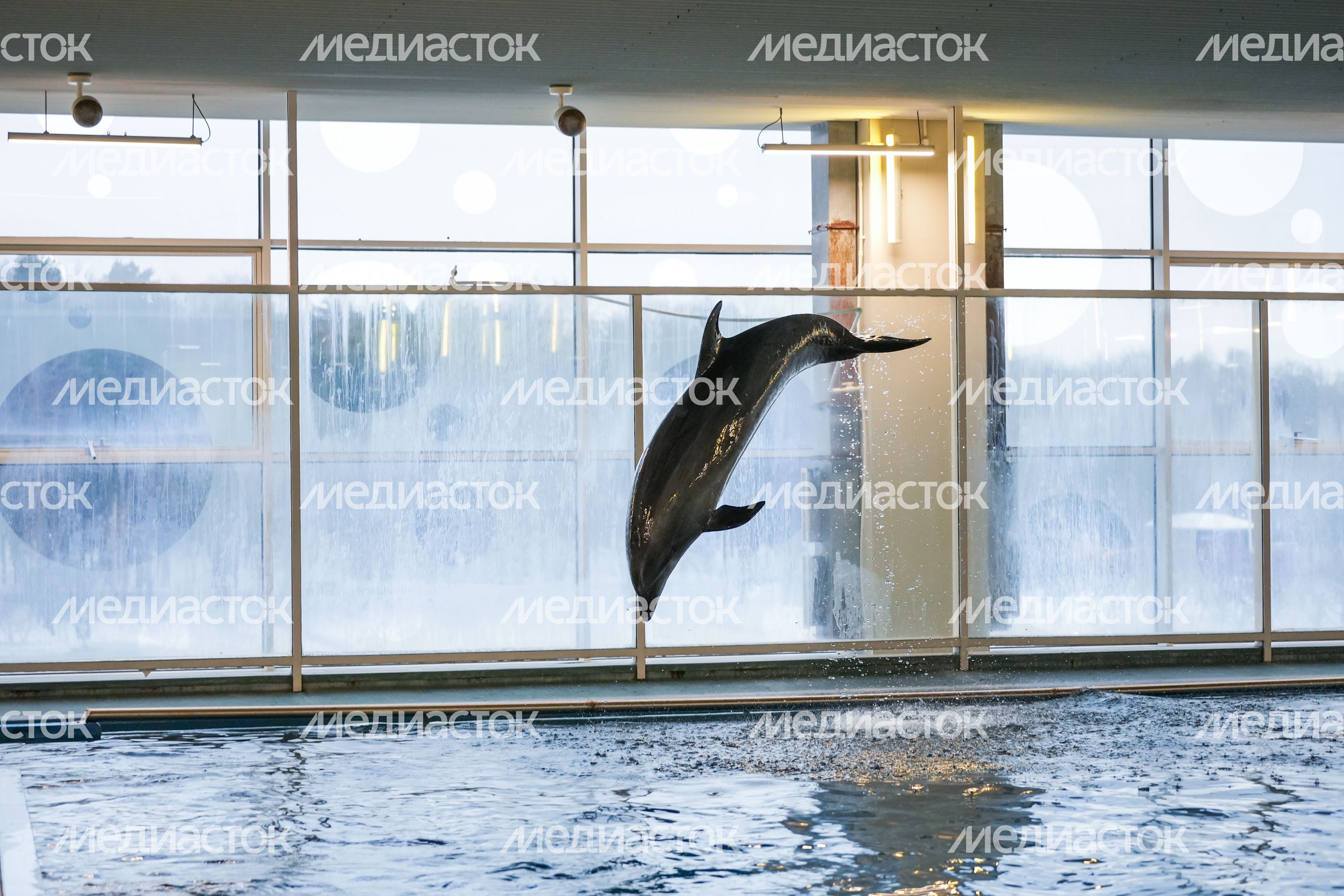 Исполнение мечты ребенка губернатором Подмосковья Исполнение мечты ребенка губернатором Подмосковья