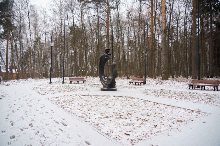 Люберцы. Томилинский лесопарк. Зима
