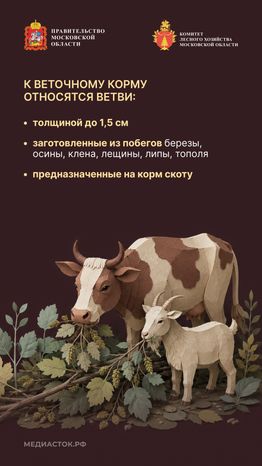 Недревесные ресурсы для собственных нужд Вертикаль 08